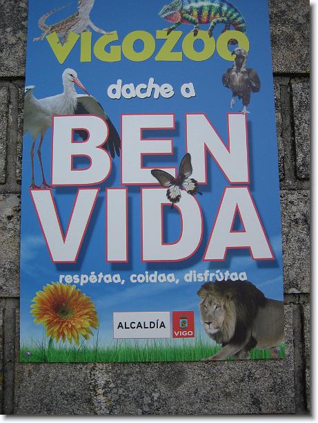 Diapositiva siguiente